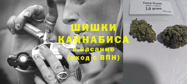 ГАЛЛЮЦИНОГЕННЫЕ ГРИБЫ Горно-Алтайск