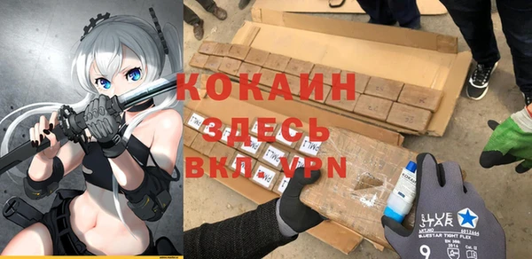 ГАЛЛЮЦИНОГЕННЫЕ ГРИБЫ Горно-Алтайск