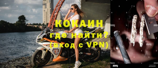 молекула духа Вяземский