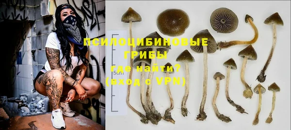 ГАЛЛЮЦИНОГЕННЫЕ ГРИБЫ Горно-Алтайск